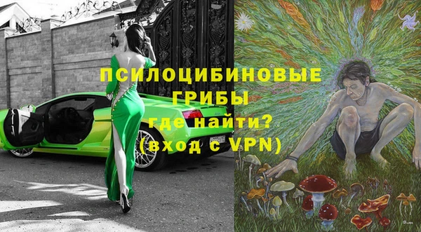 гашик Алзамай