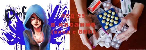 гашик Алзамай